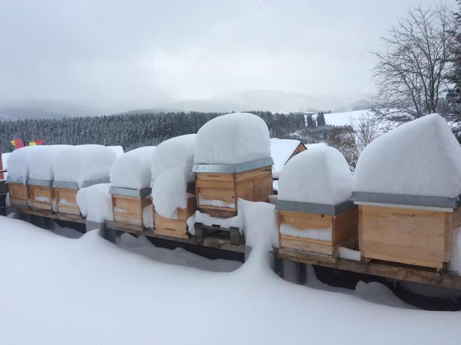 Ferienwohnung Zur Alten Schmiede เลนซ์เคียร์ช ภายนอก รูปภาพ